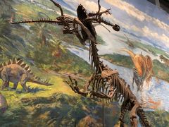 -自贡恐龙博物馆