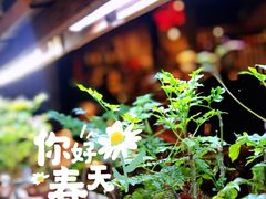 -望京一号·重庆江湖菜(工体店)