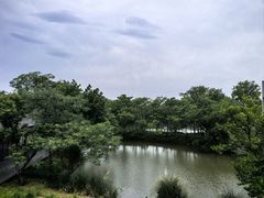 -木守西溪溪隐餐厅
