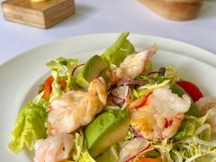 -蝶舍·MAISON PAPILLON