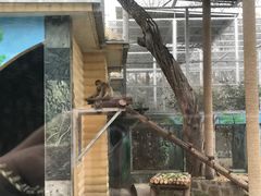 -西安秦岭野生动物园