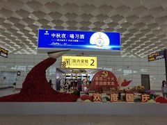 -郑州新郑国际机场-T2航站楼