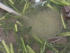 -玉林宁大姐第一家脆皮肉馆(江滨路店)