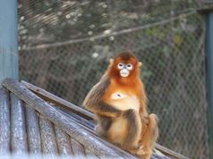 -宁波野生动物园