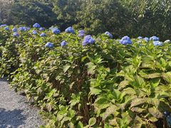 -昆嵛山石门里景区