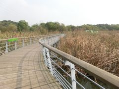 -西湖风景区-江洋畈生态公园