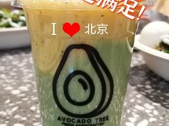 -油梨树AVOCADO TREE(嘉里中心店)