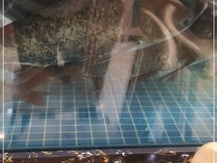 -浔味·山屿湖·正宗淳牌全鱼宴老字号