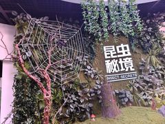 -陕西自然博物馆