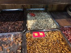 -昆虫窝子·特色云南菜(拓东路总店)