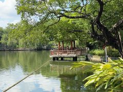 -东莞市可园博物馆