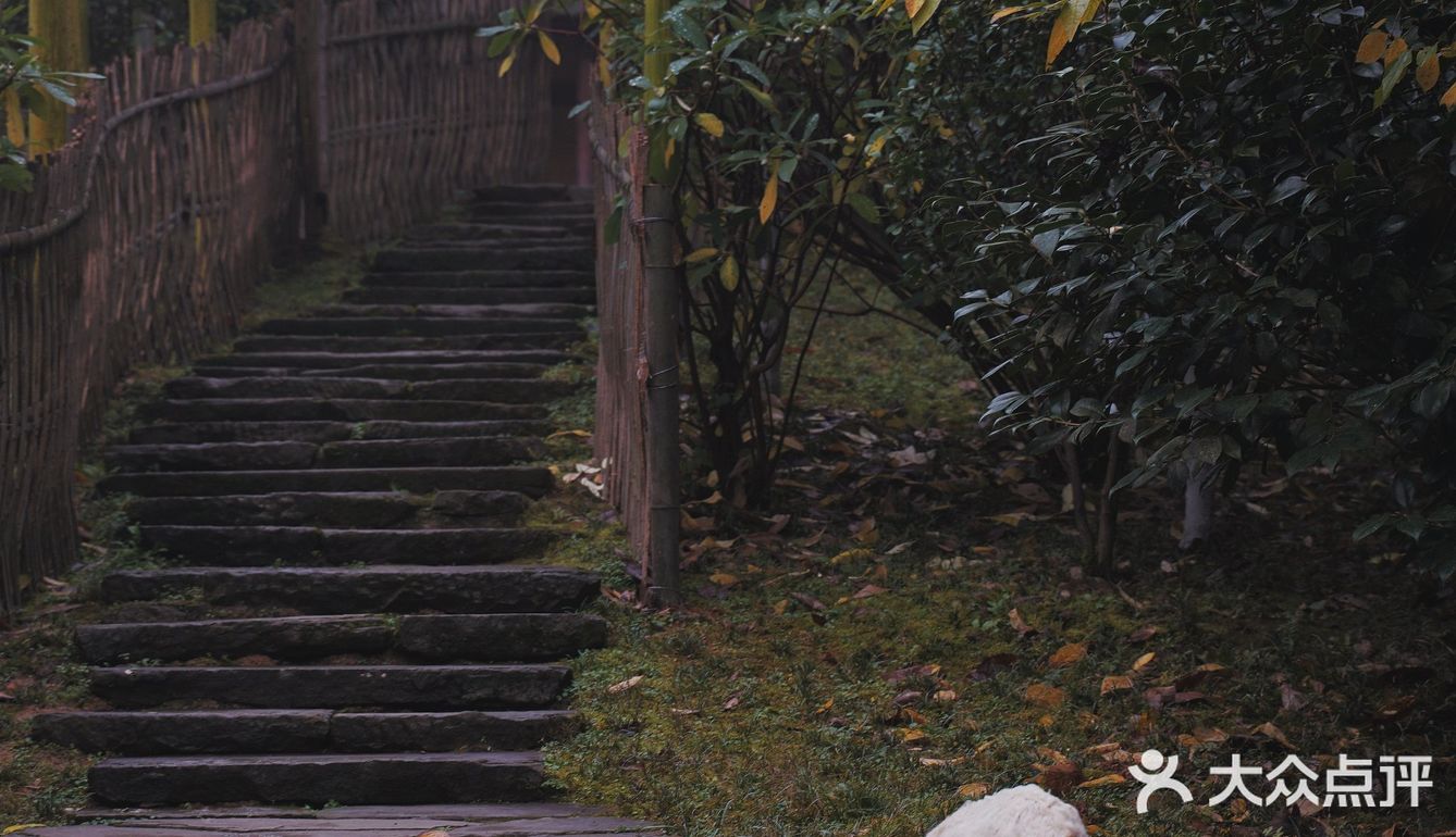 常德 | 隐居在桃花源🍃推开窗便是绿树田园