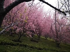 -石岛赤山风景区