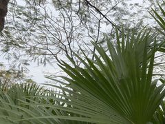 -海珠湖公园