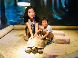 -酷嗒动物文化乐园(cutezoo西溪乐天城店)