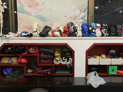 -温鉴良实用咏春拳
