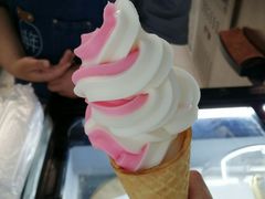 -野人先生现做冰淇淋(北京顺义祥云小镇店)