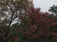 -香山公园-东宫门售票处