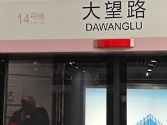 -大望路(地铁站)