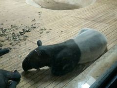 -石家庄市动物园