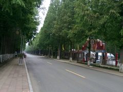 -日照海滨国家森林公园