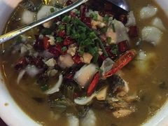 -中华茉莉园