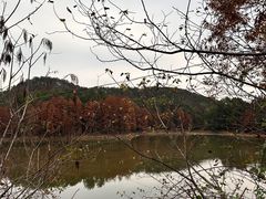 -青龙山国家森林公园