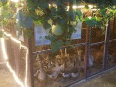 -鱼窝棚柴火铁锅炖(富山屯店)