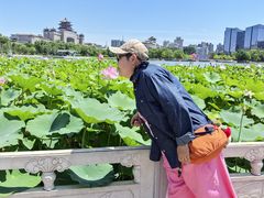 -莲花池公园