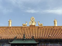 -大召无量寺
