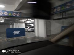 -阿五黄河大鲤鱼(海尚店)