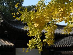 -常熟方塔园