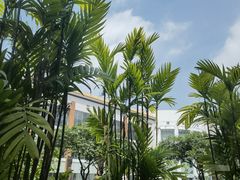 -广州人民艺术中心