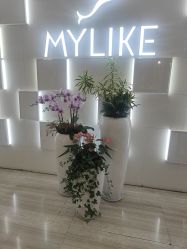 -深圳美莱医疗美容医院