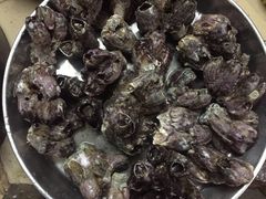 -浪琴湾尾角仔海鲜坊