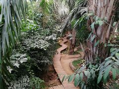 -呀路古热带植物园