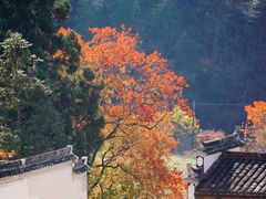 -塔川景区