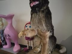 -南宁时代电影大世界(CGS激光中国巨幕)