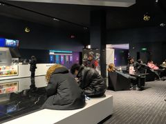 -奥斯卡升龙国际影城(RealD Cinema)