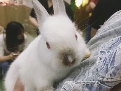 -藦茜花园宠物主题亲子互动体验馆(国顺东路店)