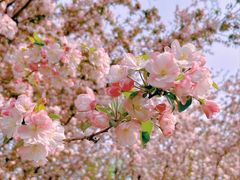 -元大都城垣遗址公园