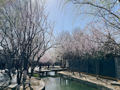 -三里河公园