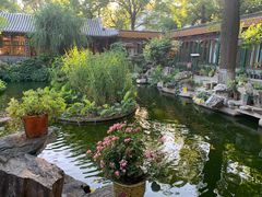 -白家大院·王府宫廷菜(苏州街店)