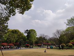 -杭州城北体育公园