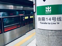 -大望路(地铁站)