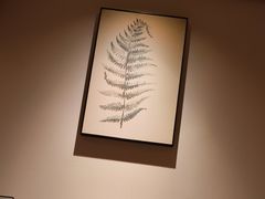 -沐善人家中医·推拿·理疗·三伏灸(新洲店)