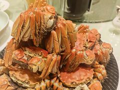 -王宝和酒家(黄浦店)