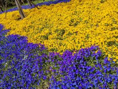 -狼山风景名胜区