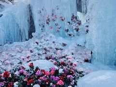 -洛阳白云山景区