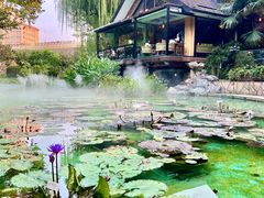-静安公园(静安寺街道)